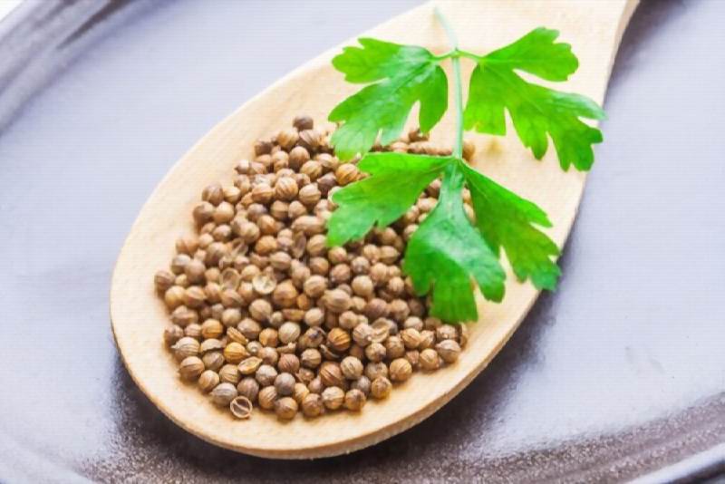 Coriander Seeds: viral fever home remedies