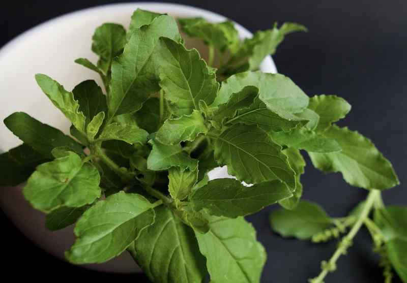 viral fever home remedies: Tulsi Leaves