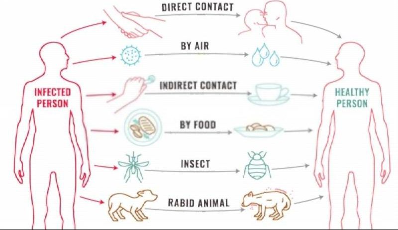 viral fever causes -info