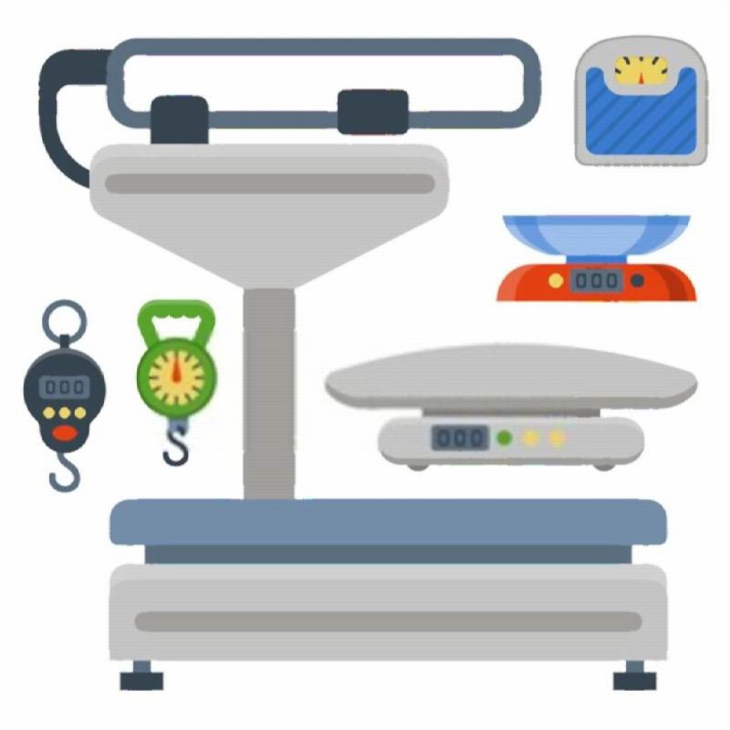 Best Weighing Machine for Kitchen