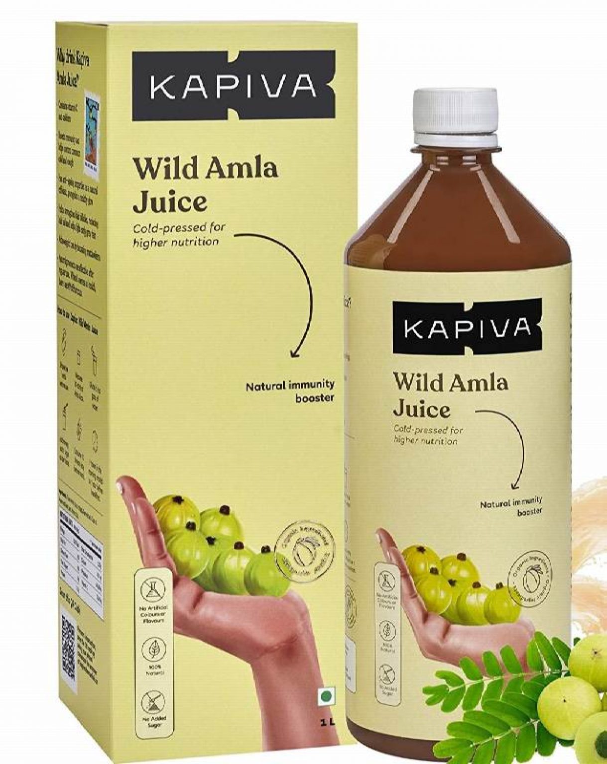 Top 10 Best Amla Juice Brands In India 2022 (With Benefits)
