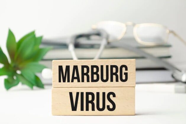 Know the Marburg virus outbreak in a West African country- Learn how the deadly disease Marburg virus spreads.