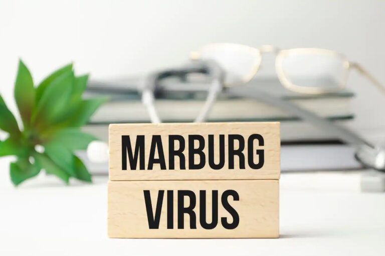 Know the Marburg virus outbreak in a West African country- Learn how the deadly disease Marburg virus spreads.