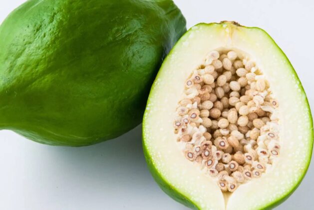 Know how unripe papaya can help to regularize periods – Here you know how unripe papaya is beneficial for menstruation.