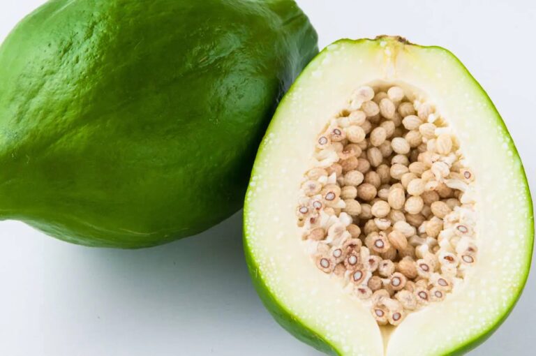 Know how unripe papaya can help to regularize periods – Here you know how unripe papaya is beneficial for menstruation.