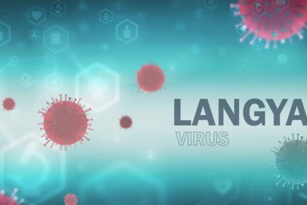 Find out what Langya Henipavirus is and what you should do to avoid it