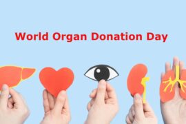 How to apply for organ or body donation?