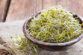 How broccoli sprouts benefit the skin.  How broccoli seed sprouts eliminate skin problems.