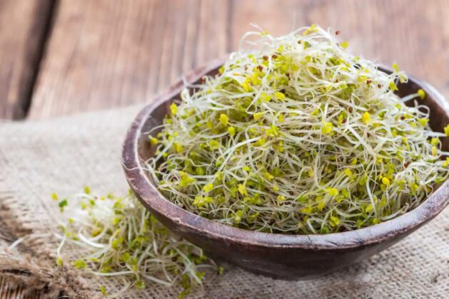 How broccoli sprouts benefit the skin.  How broccoli seed sprouts eliminate skin problems.