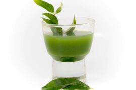 Benefits of curry leaf water – Know the benefits of curry leaf water