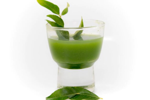 Benefits of curry leaf water – Know the benefits of curry leaf water