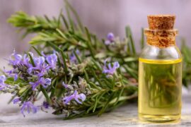 Know how to use rosemary oil for hair.- Know how to use rosemary oil for dry and damaged hair.