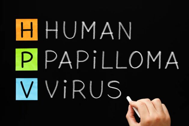 Learn what the human papillomavirus is and how it spreads.  Learn what the human papillomavirus is and how it spreads.