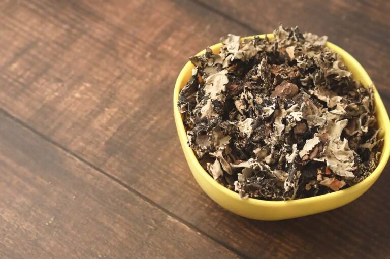 Stone flower or patthar phool benefits health.- Know how to use stone flower for your health.