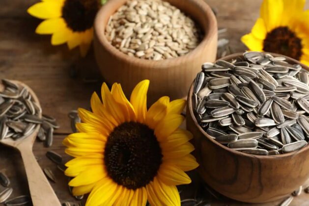 Find out how sunflower seeds can benefit your health