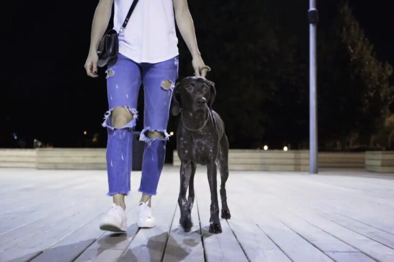 Get these amazing benefits with just a 10-minute walk after a meal.