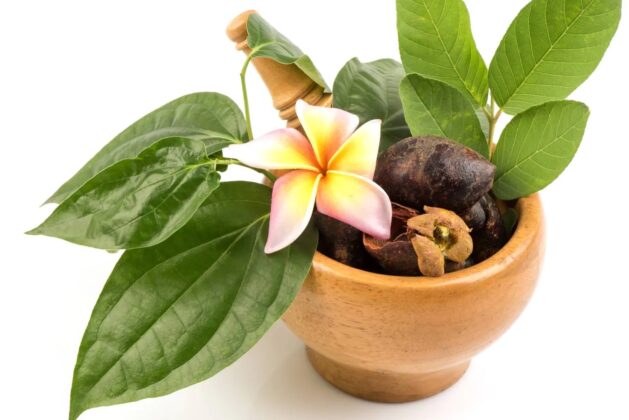 know how to use betel leaves for hair growth.- Learn how to use betel leaves for hair growth.