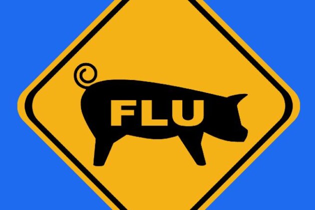 causes, symptoms and preventive measures for swine flu.- Find out here the causes, symptoms and preventive measures of swine flu.