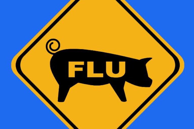 causes, symptoms and preventive measures for swine flu.- Find out here the causes, symptoms and preventive measures of swine flu.