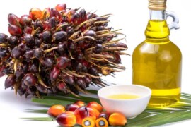 Know how to use palm oil for health and beauty.- Know how to use palm oil for health and beauty.