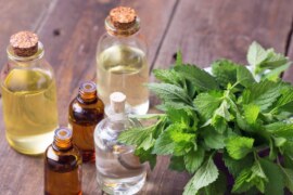 Know that apart from stress relief, peppermint essential oil has more benefits.  Read about the many other benefits of peppermint essential oil beyond stress relief.