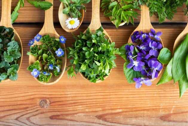 These 5 herbs can help you lose weight.