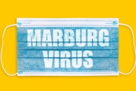 Here’s everything you need to know about Marburg virus disease.- Know what Marburg virus disease is and its health risks.